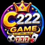C222 Game App