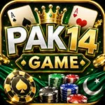 PAK14 Game App