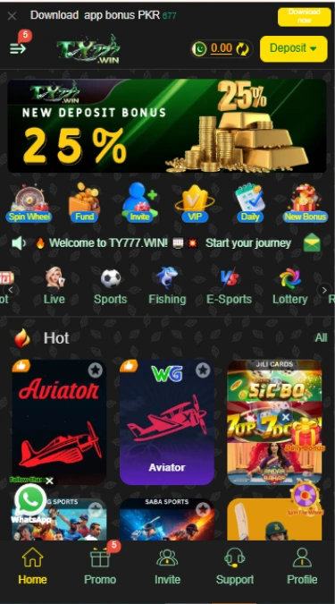 TY777 Game